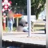 KIJK. Vechtpartij aan station in Wervik loopt volledig uit de hand: “De ene probeerde de andere klem te rijden, waardoor ze botsten”