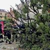 A falling tree in Venice injures a dozen people, including foreign tourists