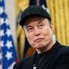 Elon Musk ontkent drugsverhaal van The New York Times