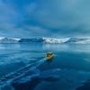 France's president will visit Greenland in a show of EU unity, Danish leader says