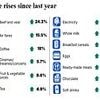 Price of Labour is a leap in inflation: Tax raid on employers and minimum wage hike have driven up costs, with more pain to come