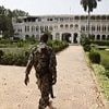 Britons urged to leave Mali as rebel gunmen attack northern city of Gao ten days after claiming capital