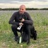 How dog walks can become deadly when the heat rises