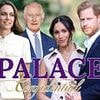 Sign up to Palace Confidential, the FREE royals newsletter from the Mail's top experts