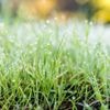 Vandaag kans op onweer, ook buurlanden maken zich op voor slecht weer