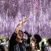 Japan telde in april recordaantal toeristen