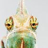 Does your man have dreaded lizard skin? How to banish unsightly blemishes and get rid of 'skin Krispies'