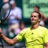 Zverev steps in after an advertising board lands on a spectator at Halle