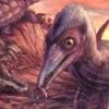 200 million year-old flying reptile species found