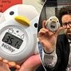 The Tubes and London buses that are too hot for cattle: Britain swelters in heatwave as 35C Underground trains record temperatures that are above legal limit for transporting livestock