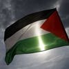 Reconnaissance de l'État de Palestine par la France : quels autres pays l'ont déjà fait ?