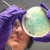 AI invents new antibiotics that could kill superbugs gonorrhoea and MRSA