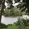 Gefahr für Kinder und Hunde in Potsdam: Behörden warnen vor Blaualgen im Groß Glienicker See