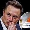 As a bombshell new book raises safety questions, have Elon Musk's dreams of a world full of driverless Teslas already run off the road?