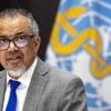 Le dernier hôpital de Gaza qui traitait le cancer ne fonctionne plus après une frappe israélienne
