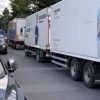 Berliner Bezirk reagiert auf Anwaltsschreiben: Wird der Ausbau der Kastanienallee in Pankow doch noch gestoppt?