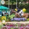 Jumping de La Baule : huitième, la France se prend les sabots dans le tapis à la Coupe des Nations