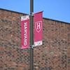 Hunderte Deutsche betroffen: Bundesregierung verurteilt Trumps Harvard-Erlass