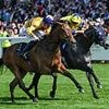 FOR KING AND COUNTRY: Joy for Jim Goldie as American Affair becomes the first Scottish-trained winner at Royal Ascot in 17 years