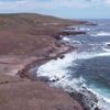 En Guadeloupe, l'île de la Désirade est un refuge pour la faune sauvage