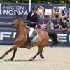 Équitation. Cabourg Classic : Kevin Staut fait retentir une première Marseillaise à Cabourg