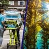 Oproep | Welke positieve ontwikkeling zie jij in de samenleving (of je omgeving)?