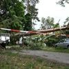 Unwetter hinterlässt große Verwüstung im Berliner Norden: Bezirk Reinickendorf zählt 750 Schadensmeldungen – weiterhin alle Parks und Spielplätze gesperrt.