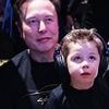 Elon Musk's greatest fear realized as young adults find a replacement for 'burdensome' babies