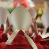 What's the geographic breakdown of the cardinals who will elect the new pope?