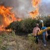 Heel Zuid-Europa worstelt met natuurbranden door hittegolf, meerdere doden