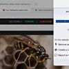Werbung ausblenden: uBlock Origin Lite kommt erstmals für Safari