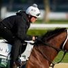 Sovereignty vs. Journalism in the Belmont gives horse racing a Kentucky Derby rematch