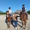 Équitation. Le club de Rulan au firmament du sport équestre breton