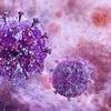 Doctors make breakthrough in HIV cure search: 'We've never seen anything close to as good'