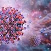 Fast alle über 50 tragen Gürtelrose-Virus in sich - wann Sie zum Arzt müssen