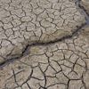 Droogte: Vlaanderen blijft voorlopig in fase geel