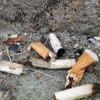 Entre recyclage et business, comment lutter contre la pollution liée aux mégots de cigarettes