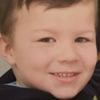 XL bully attack leaves boy without thumb as owner jailed