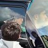 Phil Foden criticised after Man City star IGNORES pleading fans asking for his autograph in viral footage - but TikTok users point out one key reason why he was RIGHT
