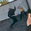 'He's just killed that boy': Police video shows how Hainault attack unfolded