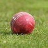 Transgender players are banned from women's and girls' cricket in England and Wales 'with immediate effect' after Supreme Court ruling