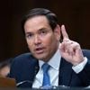 Nahost: Rubio warnt vor Kollaps der syrischen Übergangsregierung