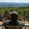Risque de feux de forêt : les Bouches-du-Rhône placées en vigilance rouge jusqu'à dimanche, 5 départements en orange