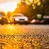Klimakrise verdoppelt Zahl der Hitzetage in Deutschland