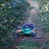 "Tueur d'abeilles", interdit en France mais autorisé en Europe, effets incertains sur la santé… On vous présente l'acétamipride, insecticide au cœur de la mobilisation des agriculteurs