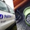 Vrouw (58) wordt plots geraakt door loodjesgeweer in Brugge: “Moest operatief verwijderd worden”