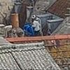 CCTV released after baby seagulls attacked and killed with an umbrella