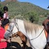 A horse therapy program in Namibia brings joy to children with learning disabilities