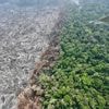 Opschorting sojamoratorium brengt Amazonewoud weer in gevaar, zegt Greenpeace