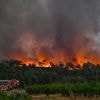 Incendie meurtrier dans l'Aude : l'arrachage des vignes est-il responsable de la progression fulgurante des flammes ?